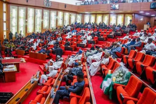 JUST IN: Senate Passes State Police Bill, Empowers Governors To Appoint Police Commissioners