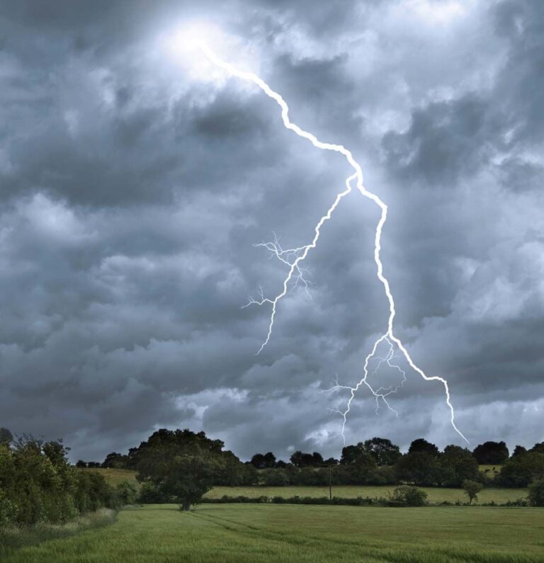 Tragedy in Niger: Lightning Kills 14-Year-Old Student Seeking Shelter Under Tree