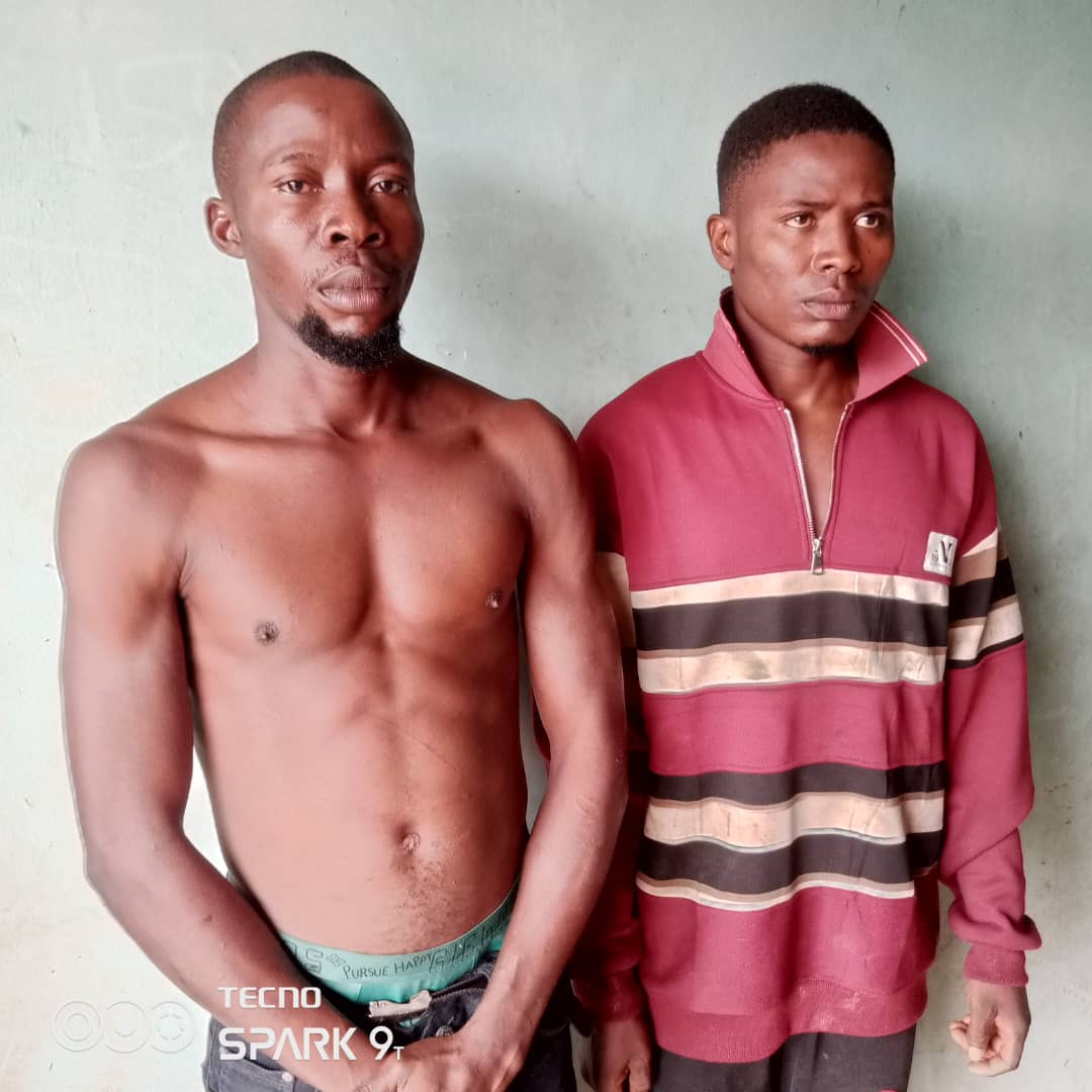 Enugu Forest Guards Foil Kidnap Escape, Rescue Seven Victims in Gun Battle