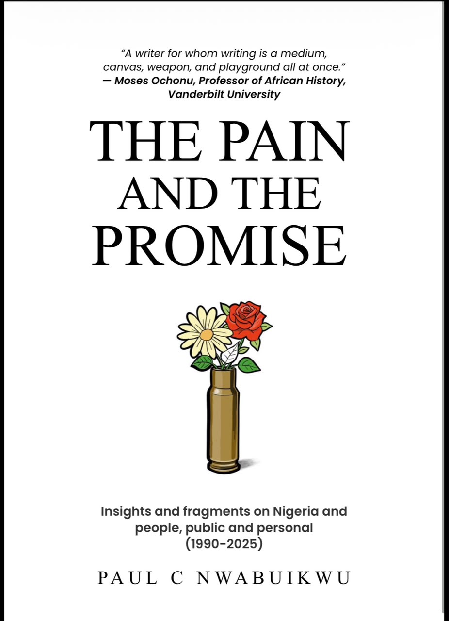 NCDMB to Feature Nwabuikwu’s The Pain and The Promise In Book Reading Sessio