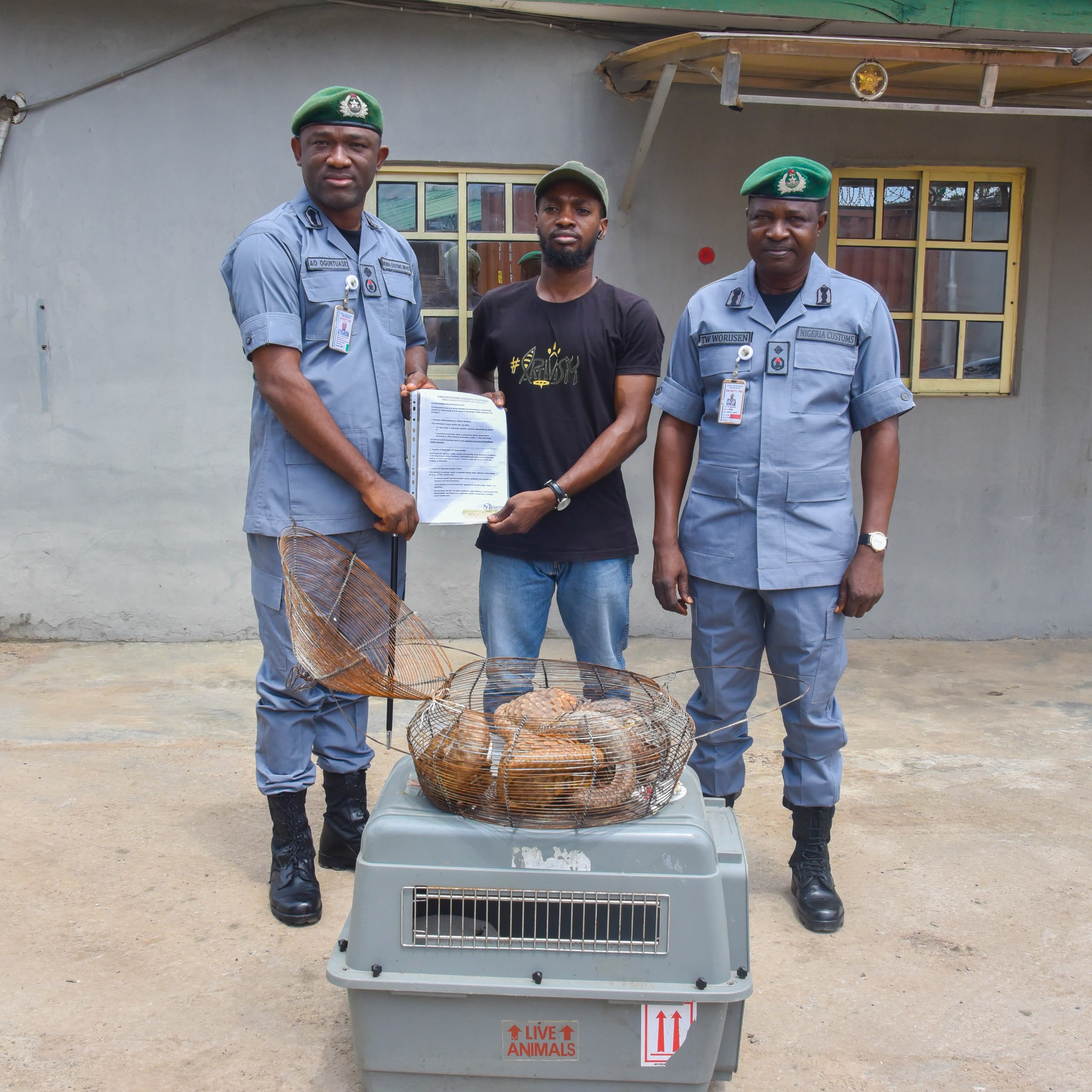 Customs FOU Zone ‘A’ Rescues Another Five Live Pangolins in Ogun State 